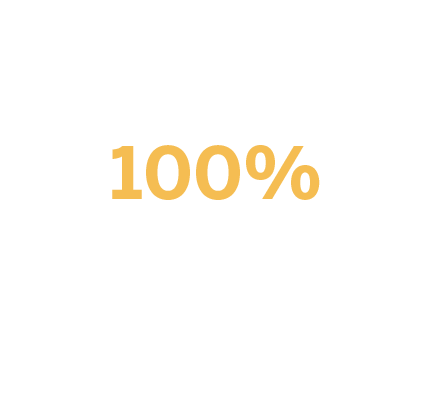 100 % faktúr vystavených v prvý možný deň